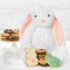 Snuggle Bunny With Cookie Treats 2 Snuggle Bunny With Cookie Treats -MRS. FIELDS Sales Store 2023 MFC 23EBUND012 Snuggle Bunny with Treats Web Image 1600px 1721