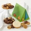 Adventure Cookie Box -MRS. FIELDS Sales Store Web 20EVBOXL012 157